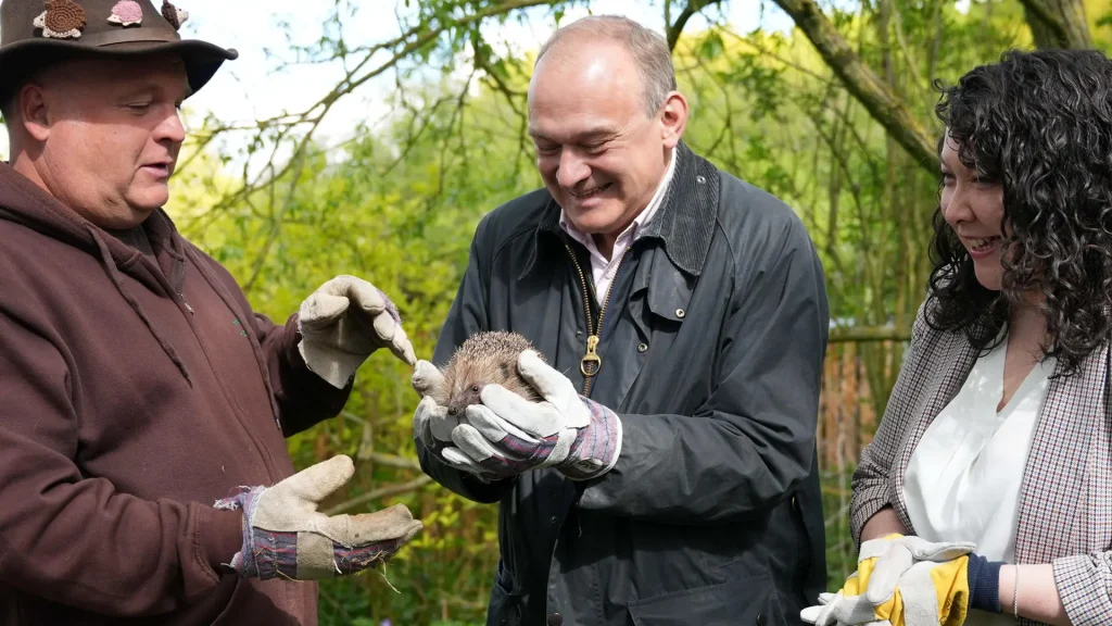 Hedgehog sanctuary